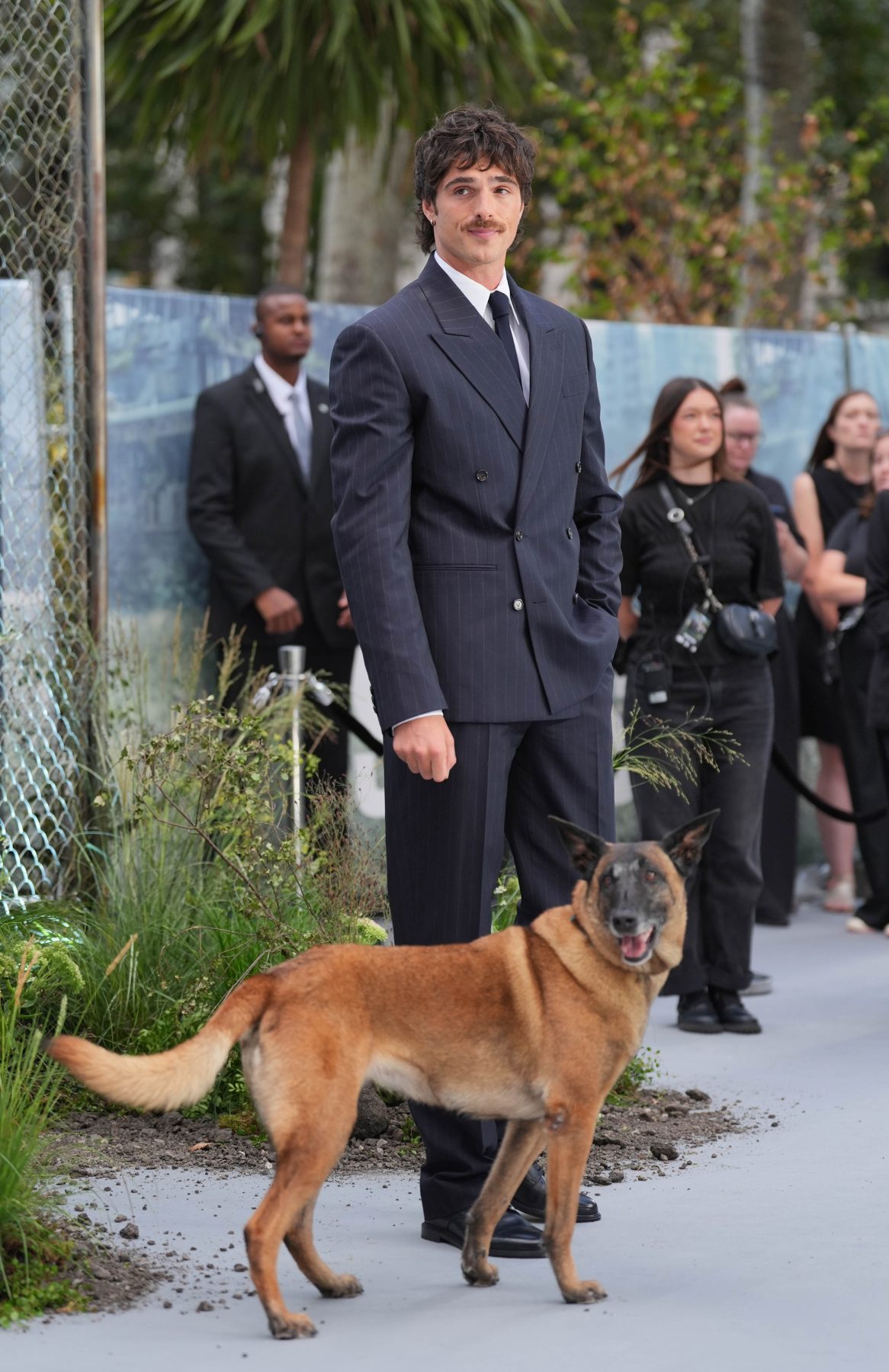 Jacob Elordi пришел на премьеру The Dog Stars с собакой