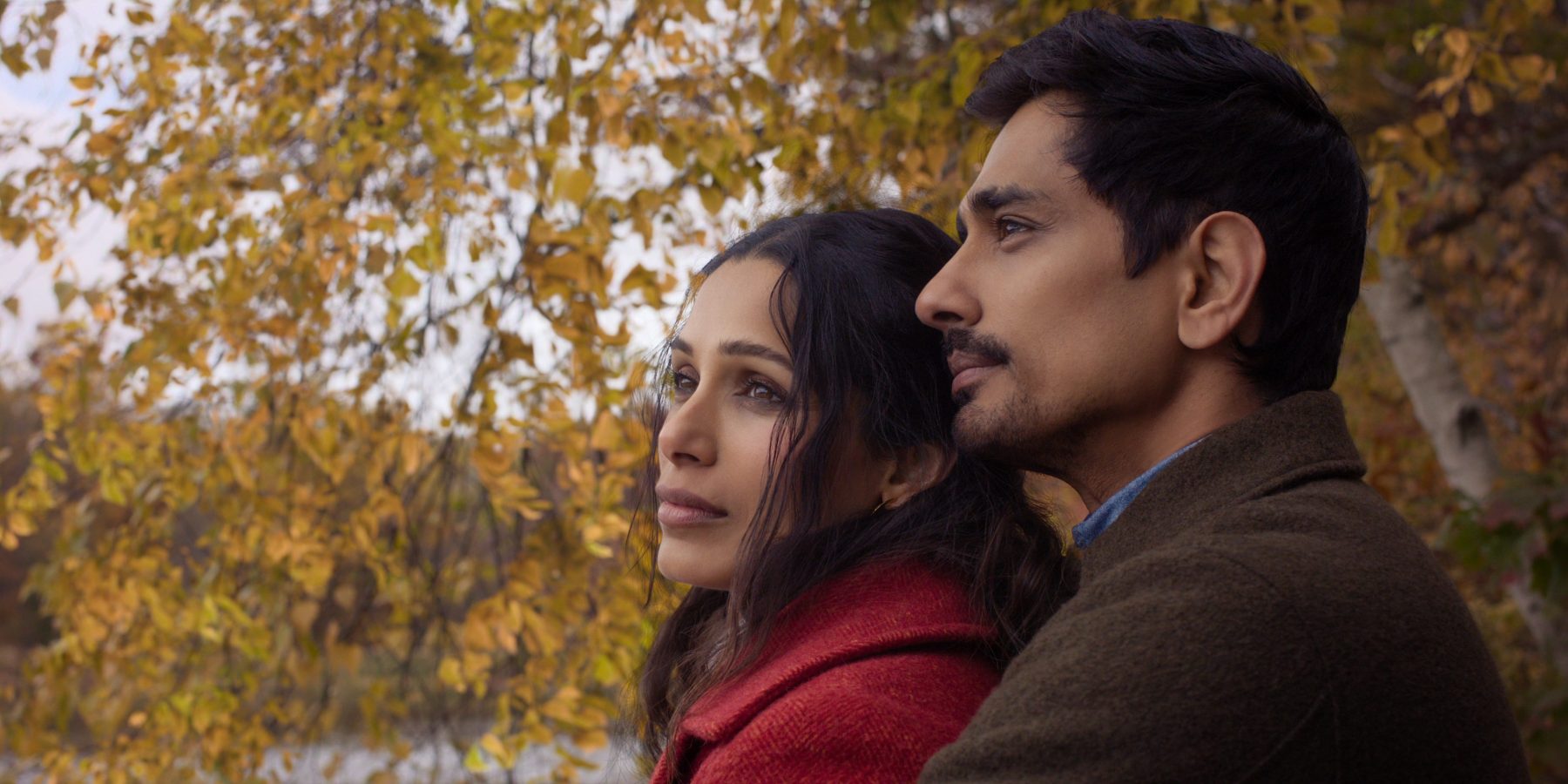 Netflix экранизировал Unaccustomed Earth Джумпы Лахири