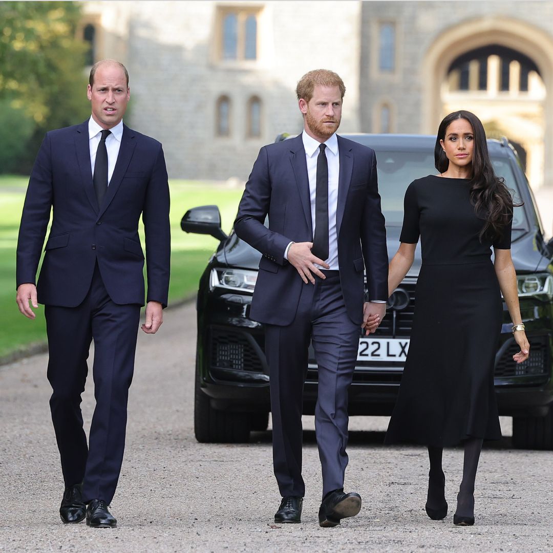 Источник утверждает, что William и Harry не смогут избегать общения вечно