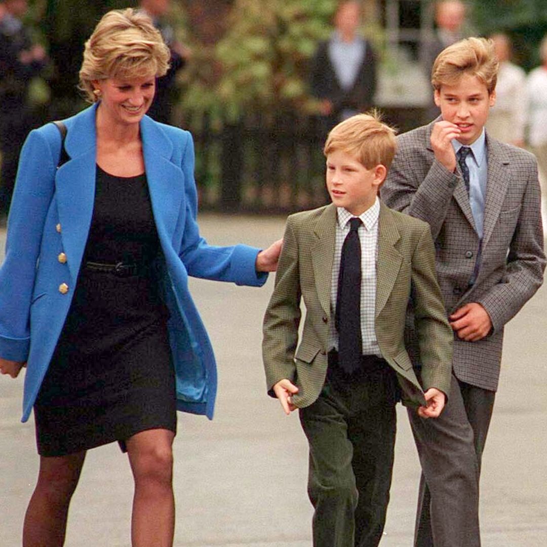 Earl Spencer заявил, что Princess Diana думала о том, чтобы уйти из жизни
