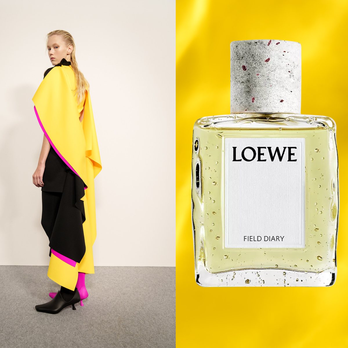 Loewe расширил Crafted Collection и добавил пять новых ароматов