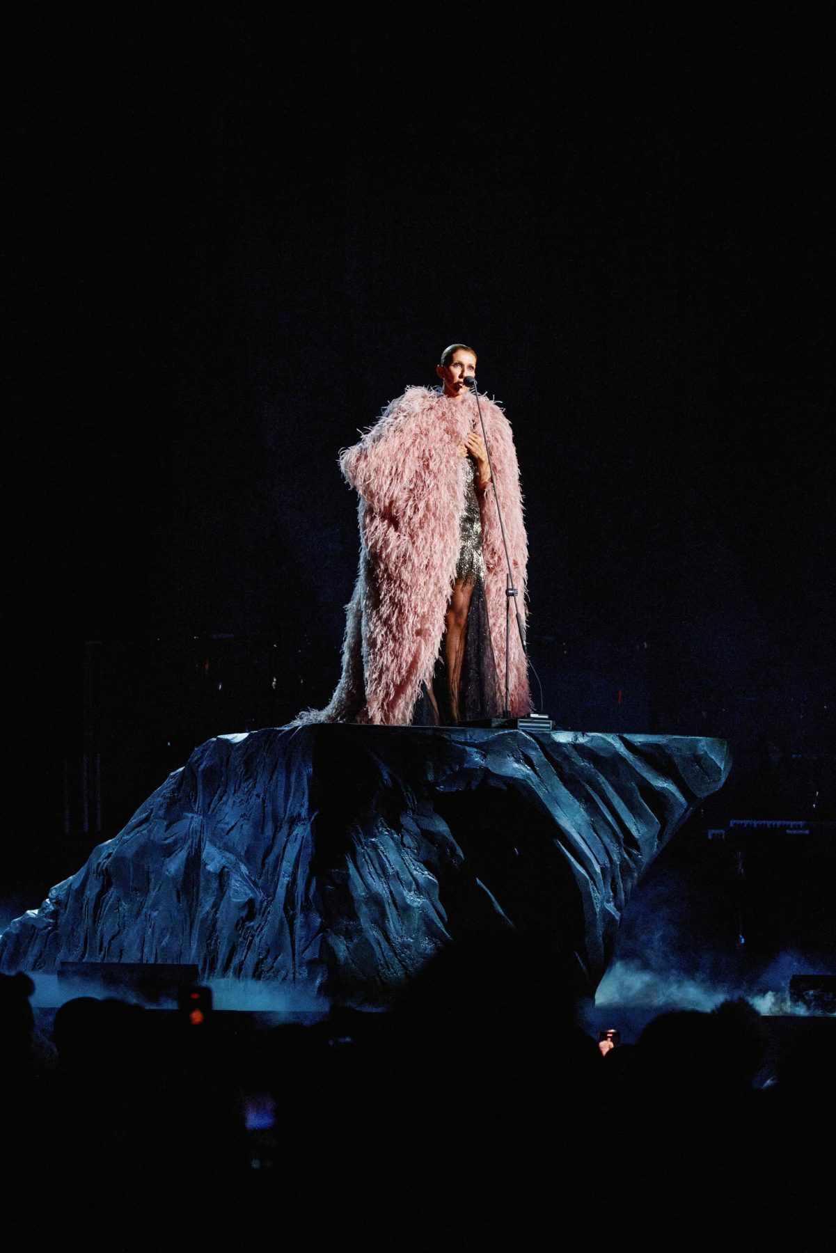 Celine Dion вернулась на сцену в образах Givenchy и Dior