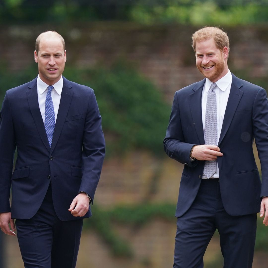 Prince William and Prince Harry связывает The Diana Award
