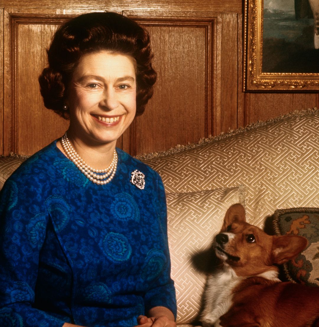 Секретное видео показало, как corgis Queen Elizabeth мешали ее трюку