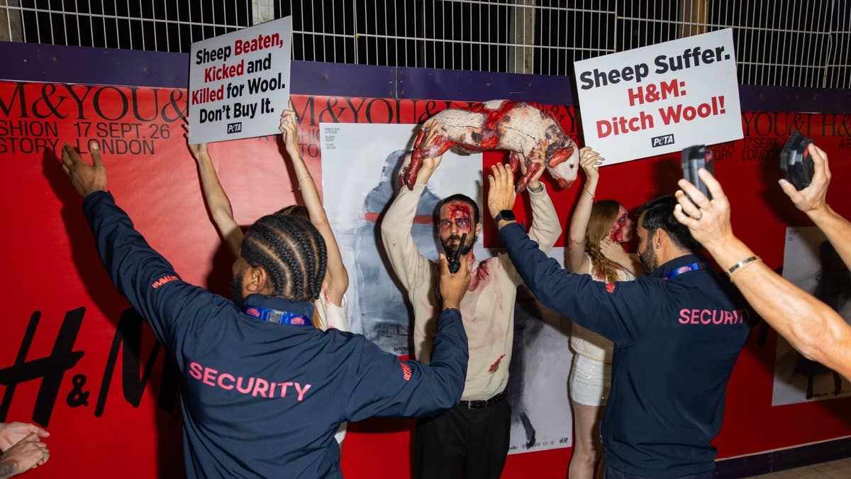 PETA сорвали показ H&M в Лондоне, а On усиливает ставку на футбол