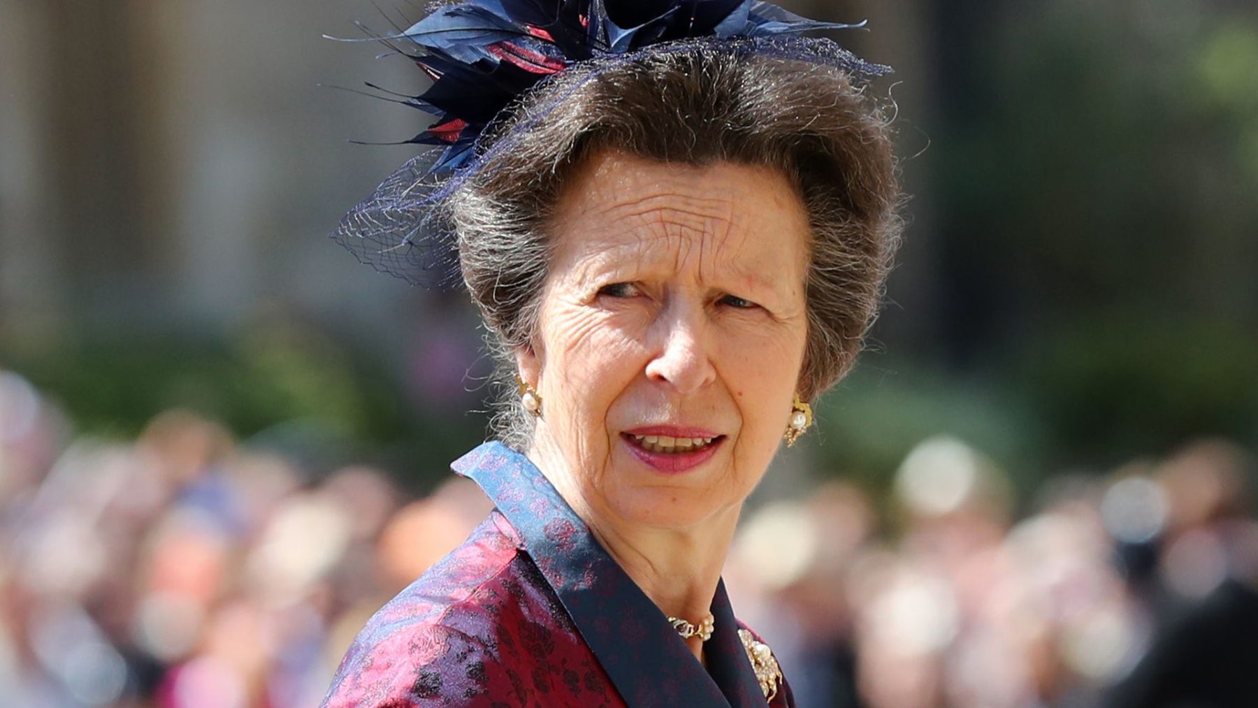 Princess Anne считает рукопожатия на приёмах абсурдными